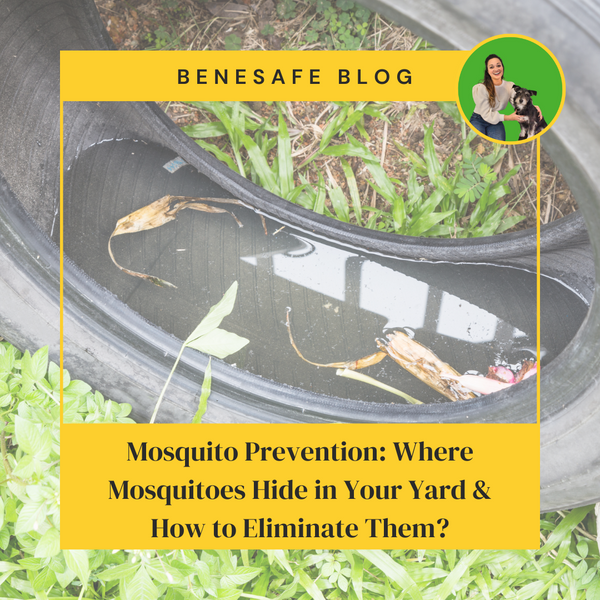 Mosquito Prevention: Where Mosquitoes Hide in Your Yard & How to Eliminate Them