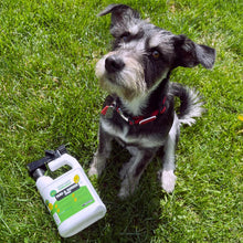 Load image into Gallery viewer, Benesafe Natural Bug Repellent Backyard