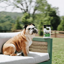 Load image into Gallery viewer, Pet-Friendly Pest Control for fleas, ticks, and mosquitoes. Enjoy the outdoors with Benesafe Solutions Yard & Garden Spray!