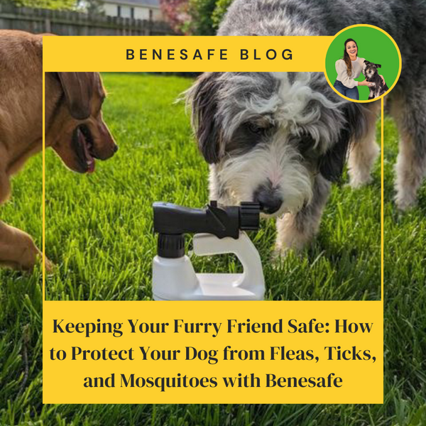 Keeping Your Furry Friend Safe: How to Protect Your Dog from Fleas, Ticks, and Mosquitoes with Benesafe