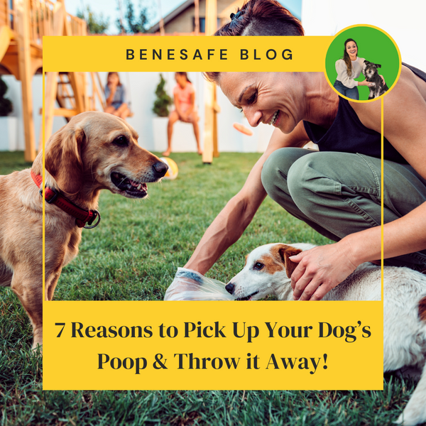 7 Reasons to Pick Up Your Dog’s Poop & Throw it Away!