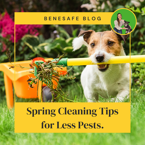 Spring Cleaning Tips for Less Pests