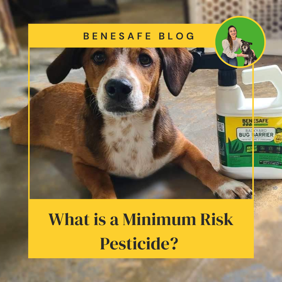 Epa Minimum Risk What is a Minimum Risk Pesticide? – Benesafe Solutions