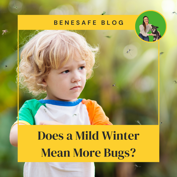 Does a Mild Winter Mean More Bugs?