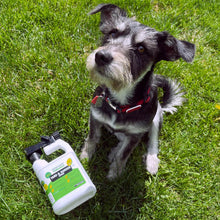 Load image into Gallery viewer, Benny with Benesafe&#39;s Plant Based Yard &amp; Garden Spray
